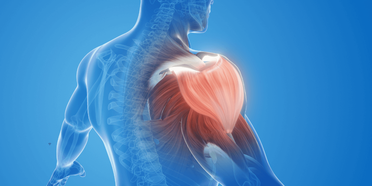 A Importância do Aquecimento para Prevenir Lesões na Musculação